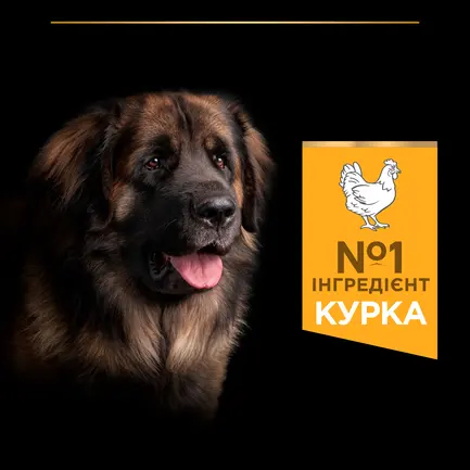 Сухий корм PRO PLAN Large Robust Adult 2+ Everyday Nutrion для дорослих собак великих порід масивної статури з куркою 14 кг: додаткове фото 7