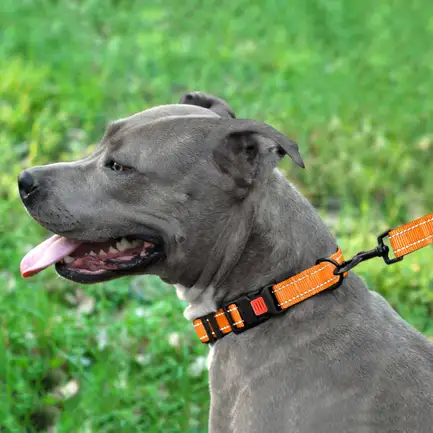 Нашийник для Собак BronzeDog Active Нейлоновий зі Світловідбиттям та Пластиковою Пряжкою Помаранчевий XL: додаткове фото 7