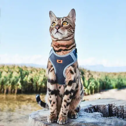Ferplast NIKITA P XS HARNESS BLACK Шлея,нейлон,: додаткове фото 4