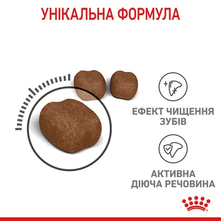 Сухий корм Royal Canin DENTAL CARE для котів всіх порід 0,4 кг: додаткове фото 5