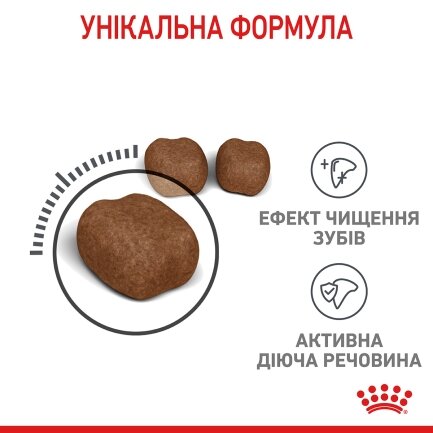 Сухий корм Royal Canin DENTAL CARE для котів всіх порід 0,4 кг — Фото 4