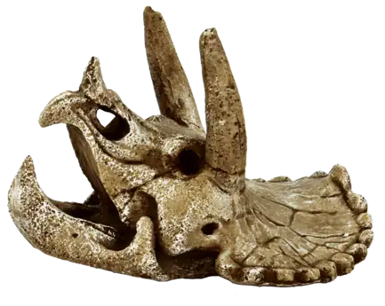 Декорація для акваріума SF SKULL TRICERATOPS M (A4021315)