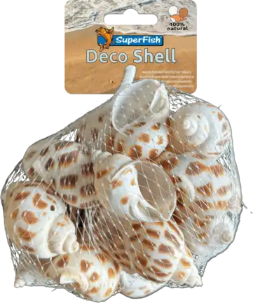 Декоративні мушлі SF DECO SHELL SPIRAL STRIPED 200 GRAM (A4080425)