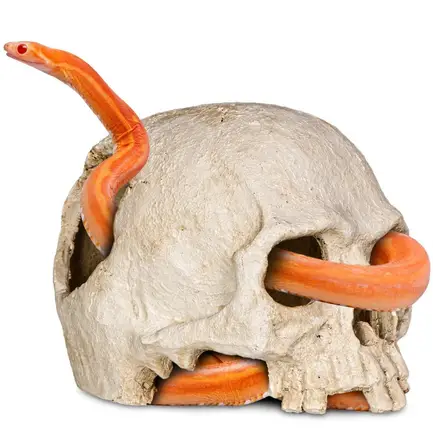 Декорація череп людини Terrario Human Skull 14x11x11см (151211): додаткове фото 3