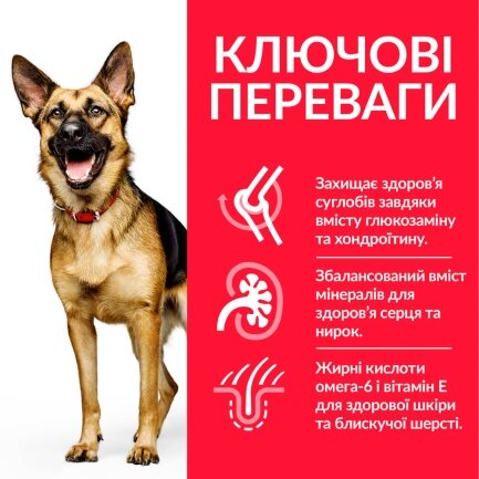 Hill’s Science Plan Mature Adult 6+ Large Breed Сухий корм для зрілих собак великих порід від 6 років, з куркою, 14 кг — Фото 2