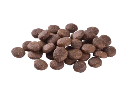Сухий корм Brit Care Dog Grain-free Junior Large Breed для молодих собак великих порід, беззерновий з лососем, 12 кг: додаткове фото 2