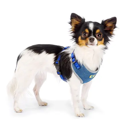 Ferplast NIKITA P XS HARNESS BLUE Шлея, нейлон, блакитна: додаткове фото 6
