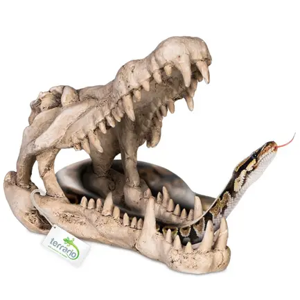 Декорація череп крокодила Terrario Crocodile Skull XL 23x11x16см (251115): додаткове фото 3