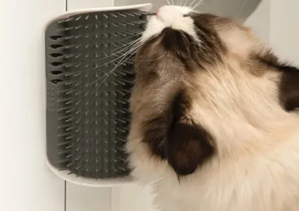 Іграшка-пуходерка Catit Senses Self Groomer 2.0 для кота, з котячою мятою (пластик): додаткове фото 5