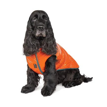 Жилет Pet Fashion «Spring» для собак, розмір XS2, помаранчевий: додаткове фото 7