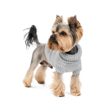 Светр Pet Fashion Sam сірий для собак, M: додаткове фото 3