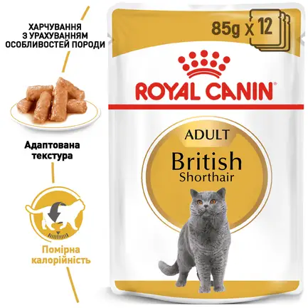 Вологий корм Royal Canin BRITISH SHORTHAIR ADULT для котів всіх поріди Британська короткошерста кішка 85 г: додаткове фото 2