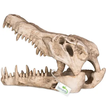 Декорація череп крокодила Terrario Crocodile Skull XL 23x11x16см (251115): додаткове фото 6