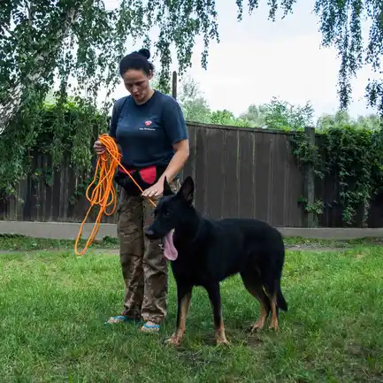 Повідець для Собак Bronzedog Active зі Шнура Тренувальний Помаранчевий L: додаткове фото 10