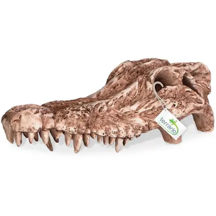 Декорація череп крокодила Terrario Crocodile Skull 30x14x9см (A15911): додаткове фото 3