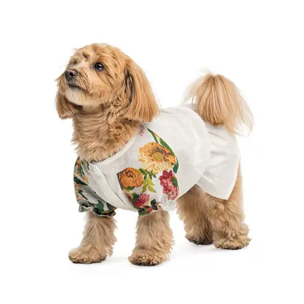 Сорочка Pet Fashion Соломія для собак дівчинка біла XS2: додаткове фото 2