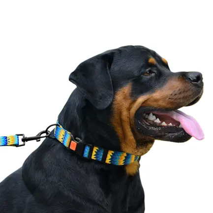 Нашийник для Собак BronzeDog Urban Зигзаг Нейлоновий з Пластиковою Пряжкою Жовто-Синій L: додаткове фото 4
