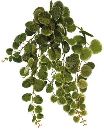REPTO PLANT HANGING ROUND LEAVES 46CM (R5100405) Штучна рослина для тераріума