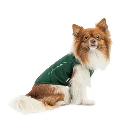 Борцівка Kale ТМ Pet Fashion для собак XXS зелена: додаткове фото 2