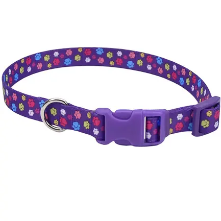 Coastal Pet Attire Styles КОСТАЛ СТАЙЛС нашийник для собак, 2.5х46-66см Лапки