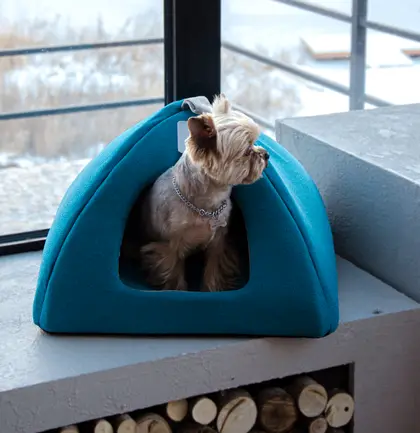 Юрта Мія №1 Бірюзовий Lucky Pet, 39х39х31: додаткове фото 2