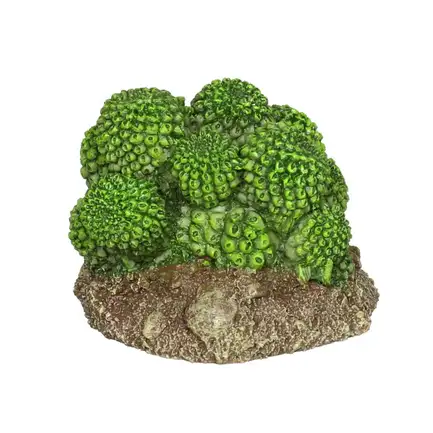 Декорація штучний кактус Hobby Cactus Atacama 7x6x5см (37018): додаткове фото 2