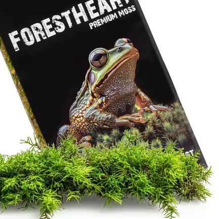 Натуральний мох торф’яний Terrario ForestHeart Sphagnum Moss 100г для тераріумів та орхідей: додаткове фото 10