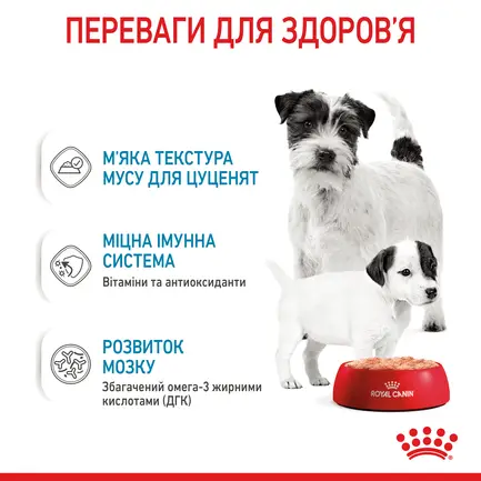 Вологий корм Royal Canin STARTER MOUSSE Cans для цуценят 195 г: додаткове фото 4