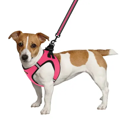 Шлея для собак Bronzedog Mesh Vest 3D сітка рожева L: додаткове фото 3