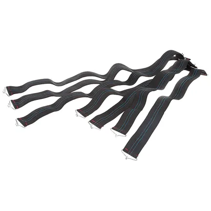 Ferplast FPI 0594 ELASTIC DREAM 120/2 Ремені для розкладачки