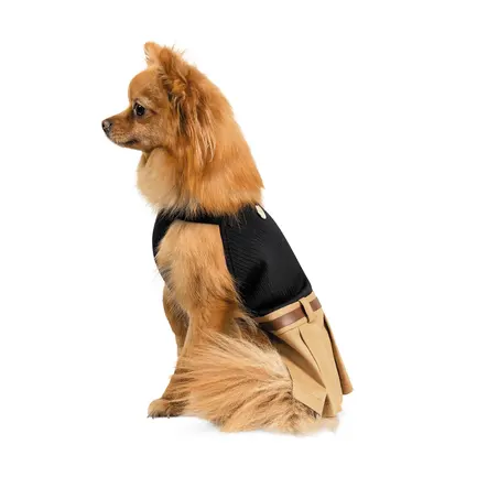 Сукня Pet Fashion «Chic» для дівчаток, розмір M, чорна: додаткове фото 2