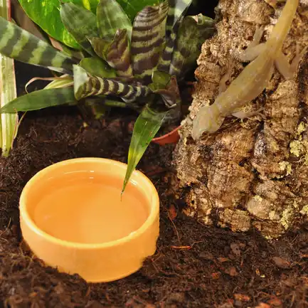 HABISTAT ROUND PLASTIC WATER BOWL MEDIUM 9 X 9 X 3.5CM (R3100030) поїлка для рептилій