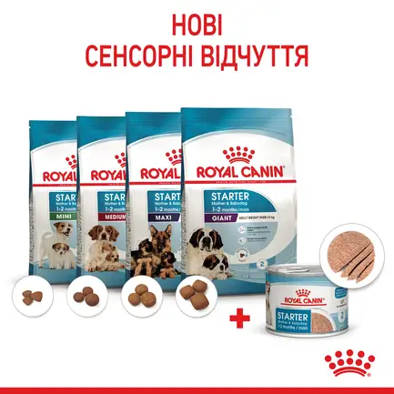 Вологий корм Royal Canin STARTER MOUSSE Cans для цуценят 195 г: додаткове фото 6