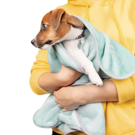 Плед Pet Fashion «Bliss» для собак та цуценят, 77х100 см, м'ята: додаткове фото 3