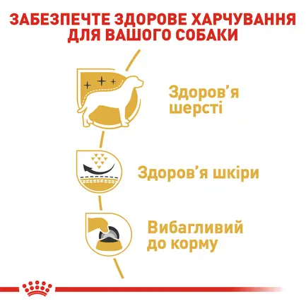 Сухий корм Royal Canin WESTIE ADULT для дорослих собак породи Вест-хайленд-вайт-тер'єр 3 кг: додаткове фото 5