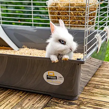 Ferplast CAGE RABBIT 100 (*1) Клітка для кролів: додаткове фото 4