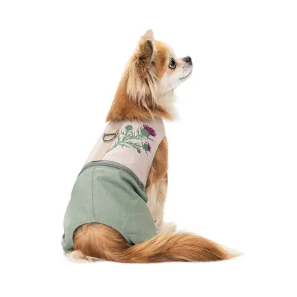 Шлея-костюм Pet Fashion для собак Patrik S: додаткове фото 3