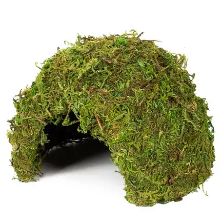 Схованка з моху Repti-Zoo Natural Mossy Dome M 14x10,5 (ERS25M): додаткове фото 2