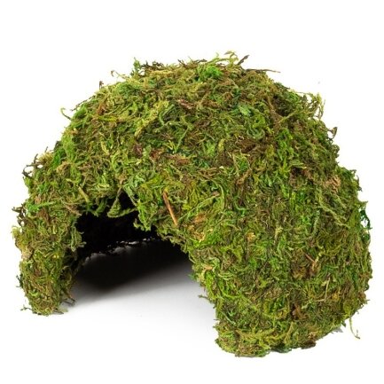 Схованка з моху Repti-Zoo Natural Mossy Dome M 14x10,5 (ERS25M) — Фото 1