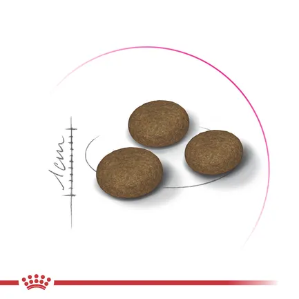 Корм для котів ROYAL CANIN EXIGENT FUSSY з вибагливим апетитом, 10 кг: додаткове фото 2