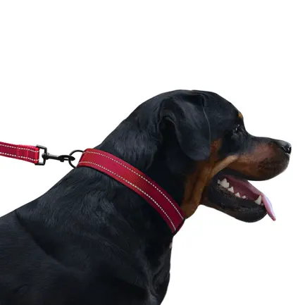 Повідець для Собак Bronzedog Active Нейлоновий зі Світловідбиттям Червоний L: додаткове фото 7