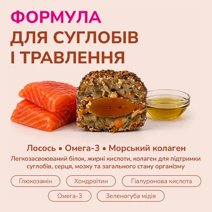 LK Baits Pet Nutrigel Salmon L-XL Функціональні ласощі для собак великих порід для суглобів з лососем та Omega-3 (Ø 18 мм), 200 г: додаткове фото 4