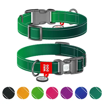 Нашийник для собак нейлоновий WAUDOG Nylon Mono з QR паспортом, світловідбивний, пластиковий фастекс, S, Ш 15 мм, Дов 25-35 см зелений
