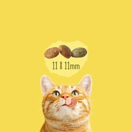 Сухий корм FRISKIES Indoor для дорослих котів що постійно перебувають у приміщенні з куркою та індичкою, з овочами 1,5 кг: додаткове фото 7