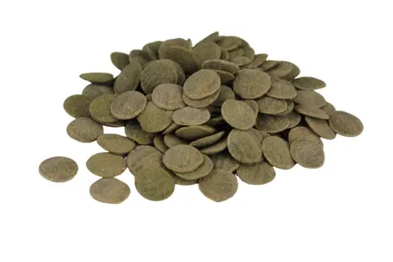 Корм Silbermann Algea Catfish Wafers 120 ml (SIS125) таблетки для рослиноїдних сомів: додаткове фото 2