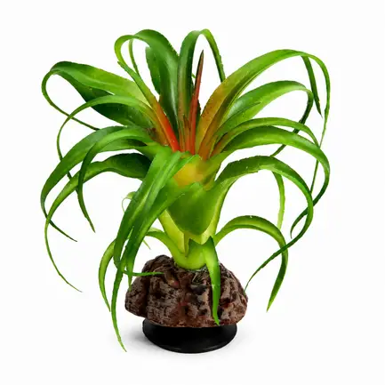 Штучна рослина Hobby Terra Succulent 3 14 см (37732) для тераріуму, акватераріуму та палюдаріуму: додаткове фото 2