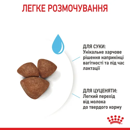 Сухий корм Royal Canin MINI STARTER для дорослих собак малих порід 8 кг: додаткове фото 6