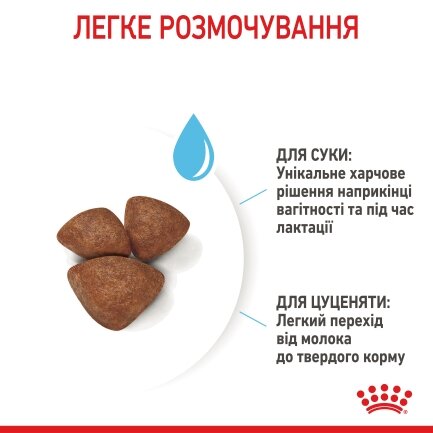 Сухий корм Royal Canin MINI STARTER для дорослих собак малих порід 1 кг — Фото 5