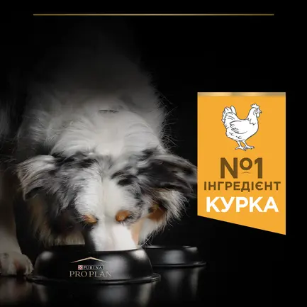 Сухий корм PRO PLAN Medium Adult 1+ Everyday Nutrion для дорослих собак середніх порід з куркою 14 кг: додаткове фото 6