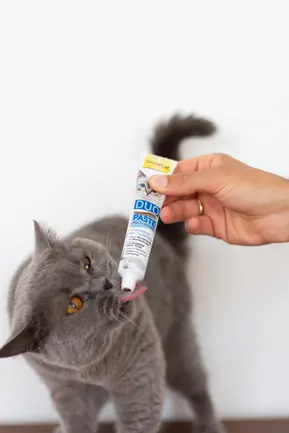 Паста для котів GimCat DUO PASTE Multi-vitamin 12 vitamins with tuna 12 вітамінів та тунець, 50 г: додаткове фото 4